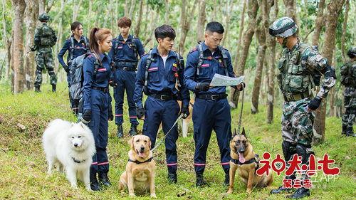 神犬小七第三季在线免费观看 第3张 神犬小七第三季在线免费观看 第3张